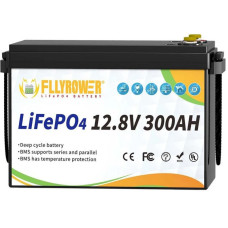 Акумулятор FllyPower LiFePO4 12V/300AH, 3840W*h (літій-залізо-фосфатний акумулятор для ДБЖ (UPS))