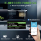 Акумулятор LanPWR 24V 100Аh 2560Wh LiFePO4 + Bluetooth (літій-залізо-фосфатний акумулятор)