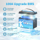 Акумулятор Kepworth LiFePO4 12V 100AH для будинку, котла, сонячних батарей (літій-залізо-фосфатний акумулятор)