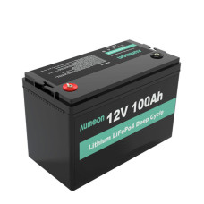 Акумулятор ENERSUN LiFePo4 12V 100AH із вбудованим BMS (літій-залізо-фосфатний акумулятор)