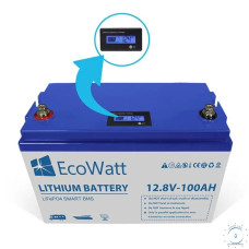 Акумулятор для ДБЖ EcoWatt LiFePO4 Smart BMS 12.8V 100Ah (літій-залізо-фосфатний акумулятор)