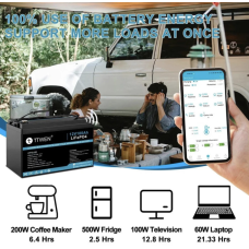 Акумулятор TTWEN 12V 100Аh 1280Wh LiFePO4 + Bluetooth (літій-залізо-фосфатний акумулятор)