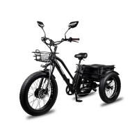 Електровелосипед триколісний Minako Trike 500W 48V 13Ah