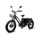 Електровелосипед триколісний Minako Trike 500W 48V 13Ah