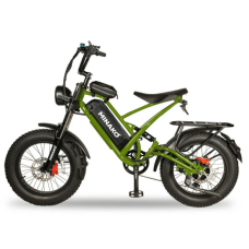 Електровелосипед Minako FOX 1000W 48V 15Ah 20"