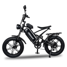 Електровелосипед Minako FOX 750W 48V 15Ah 20"