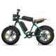 Електровелосипед фетбайк Engwe M20 Dual Batteries 1000W 48V 26Ah 20" 