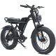 Електровелосипед фетбайк IDPOO IM-J1 750W 48V 15.6Ah 20"x4" 