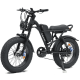 Електровелосипед фетбайк IDPOO IM-J1 750W 48V 15.6Ah 20"x4" 