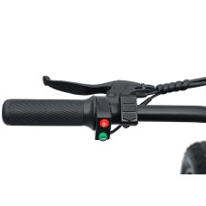 Електровелосипед фетбайк IDPOO IM-J1 750W 48V 15.6Ah 20"x4" 
