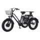 Електровелосипед триколісний Daibot Motorcycle 20" 500W 48V 12Ah