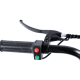 Електровелосипед триколісний Daibot Motorcycle 20" 500W 48V 12Ah