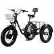 Електровелосипед триколісний Daibot Motorcycle 20" 500W 48V 12Ah