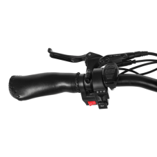 Електро фетбайк BARS HARD DUAL 3000W 48V 21Ah 20" 