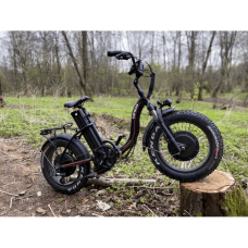Електро фетбайк Cayman HYPER DUAL 3000W 48V 24.5Ah 20"