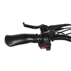 Електро фетбайк Cayman HARD DUAL 3000 W