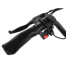 Електро фетбайк Cayman TRIAL DUAL 1500 W