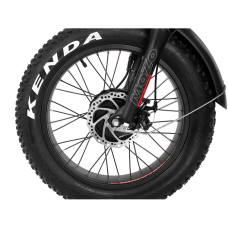 Електро фетбайк Cayman TRIAL DUAL 1500 W