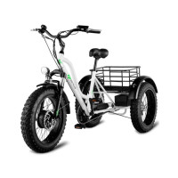 Електровелосипед триколісний Grizzly M5 700W 36V 15Ah 20" 