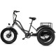 Електровелосипед триколісний Grizzly M5 700W 36V 15Ah 20" 