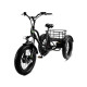 Електровелосипед триколісний Grizzly M5 700W 36V 15Ah 20" 