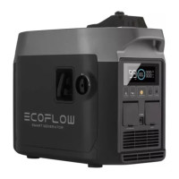 Бензиновий генератор EcoFlow Smart Generator (GasEB-EU) [76101]