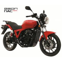 GEON NAC 250 EFI