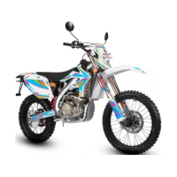 GEON Dakar 450E (Enduro)
