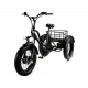 Електровелосипед триколісний Grizzly M5 700W 36V 15Ah 20"