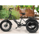Електровелосипед триколісний Grizzly M5 700W 36V 15Ah 20"