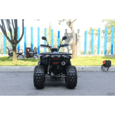 Квадроцикл дитячий Forte Hunter 125 чорний