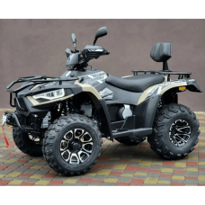 Квадроцикл Linhai LH300-D EFI ProMax (4X4) Сірий