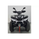 Квадроцикл LINHAI YAMAHA LH300-3D