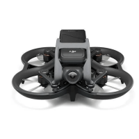 Квадрокоптер DJI Avata (без RC) (CP.FP.00000062.01)