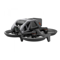 Квадрокоптер DJI Avata Fly Smart Combo (DJI FPV Goggles V2) (CP.FP.00000064.01)