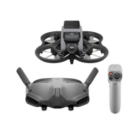 Квадрокоптер DJI Avata Pro-View Combo (DJI RC Motion 2) (CP.FP.00000115.01)