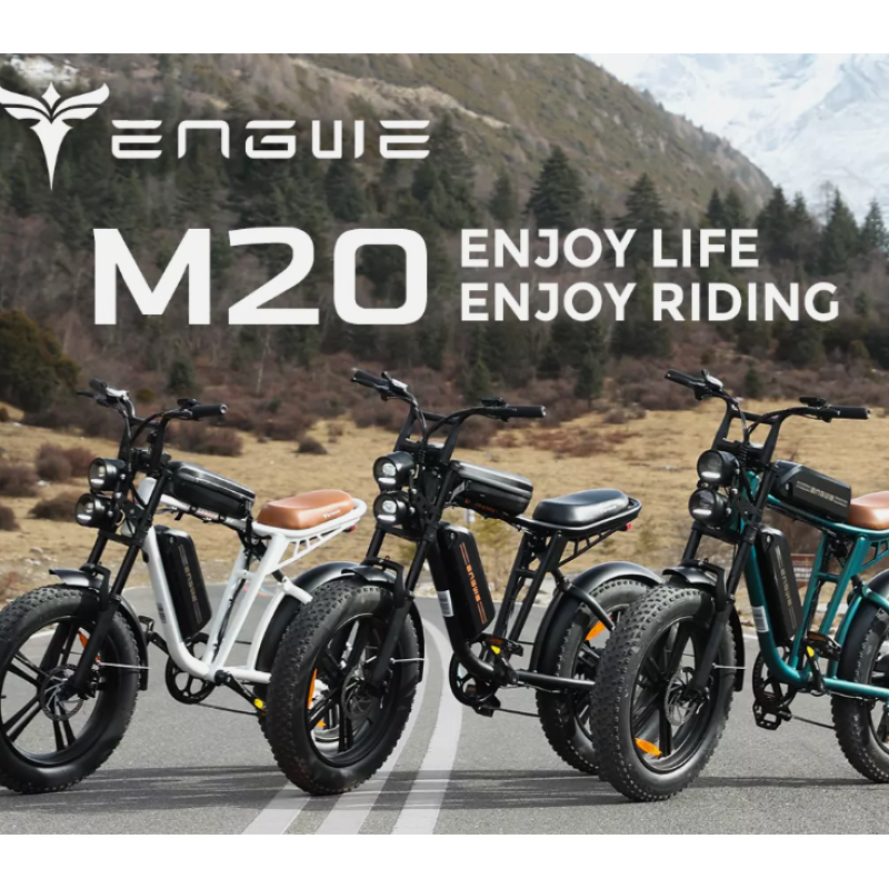 Електровелосипед ENGWE M20 1000W