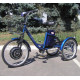 Електровелосипед триколісний SKYMOTO HAPPY 350W 36V 10Ah