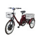 Електровелосипед триколісний SKYMOTO HAPPY 350W 36V 10Ah