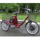 Електровелосипед триколісний SKYMOTO HAPPY 350W 36V 10Ah