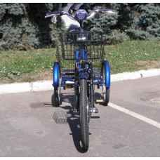 Електровелосипед триколісний SKYMOTO HAPPY 350W 36V 10Ah