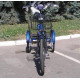 Електровелосипед триколісний SKYMOTO HAPPY 350W 36V 10Ah
