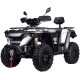 Квадроцикл Linhai M550L EFI
