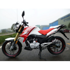 ZONGSHEN ZS200-48A