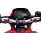 Benelli TNT600s