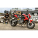Benelli TNT600s