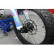 GEON Dakar 450E (Enduro) (Factory)