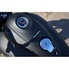 SKYBIKE RENEGADE 250