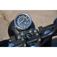 SKYBIKE RENEGADE 250