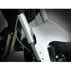 Benelli TNT300
